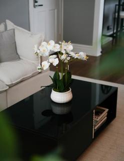 2BR w Workspace and Coffee Bar Near Transit - 4