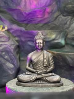 Thampurans lakefront properties - 6