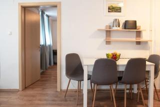 Twin-Magnolia Tree Condo - Zagreb - 9