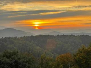 Apartment in Freyung near Bavarian Forest - Freyung - 7