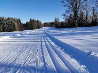 Apartment in Freyung near Bavarian Forest - Freyung - 1