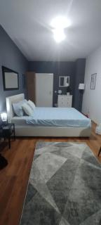 Central apartman3 Novi Sad - 7