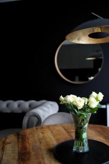 Apartamenty STUDIO - Busko-Zdrój - 0