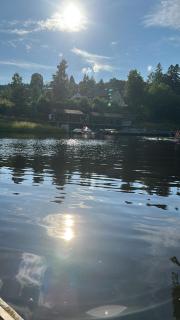 HAUS AM SEE - Natur Pur - Friedenweiler - 7