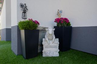 Apartament przy Wyciągu z jacuzzi - Bukowina Tatrzańska - 7