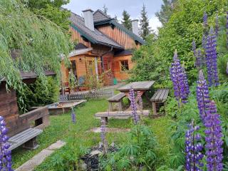 Alpen Appartements Ferienhaus - Ferienwohnungen Würger - Krakauschatten - 1