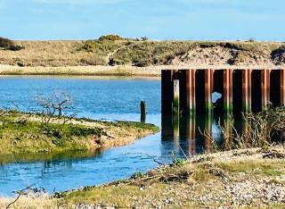 Harbour Bliss - Pagham - 1
