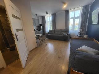 Apartamenty - Studio Gliwice II - 8