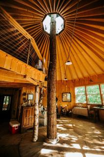 Escape to Tree House Island Life - 4