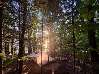 Hammock Haven Island Dome - Monmouth - 0