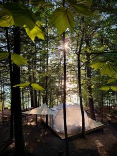 Hammock Haven Island Dome - Monmouth - 2