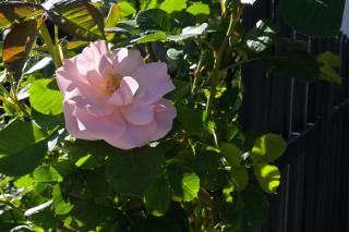 Apartament przy Wyciągu z jacuzzi - 2