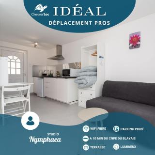 Studio "Nymphaea" par Chelona'Loc - Braud-et-Saint-Louis - 0