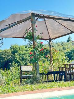 B&B Il Casale Del Ginepro - Migliano - 7