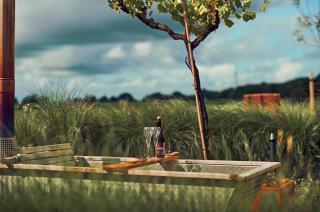 Nest - luxe wellness met privé sauna in Friesland - - 1