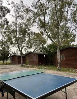 Laguna Park - Divjakë - 6