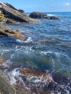 Casa Fiumara,Aeroporto,Aquario Genova - 8