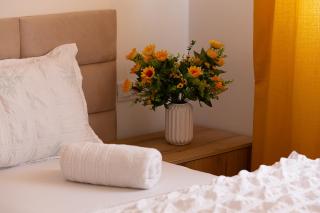 Sika Sunny Apartment - Free private parking & Balcony - Arad - 4