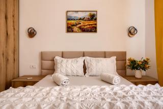 Sika Sunny Apartment - Free private parking & Balcony - Arad - 5