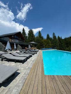 SevenHills chalet - Yablunytsya - 7