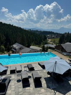 SevenHills chalet - Yablunytsya - 8