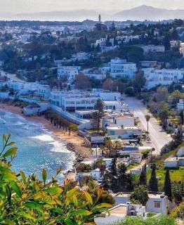 Le kasbah bleue - Tunisi - 0