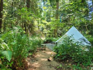 Gibsons Creek RV Resort and Campground - Gibsons - 2