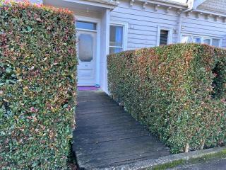 Spacious Room,Amazing Location All Perks - Auckland - 5