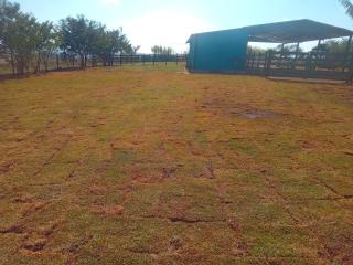 Camping do edmar - 9
