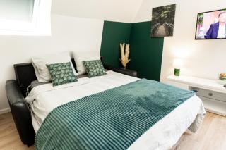 Mirabeau Sous Les Toits 2 - Tours - 9