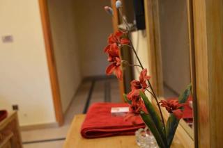 Patriata Great Hotel - - 2