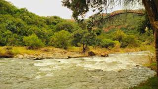Nomads Rest - Sterkspruit - 7