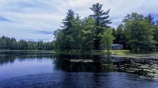 Pet-friendly, secluded, and peaceful pondside home near to Keene and Rindge NH - 8