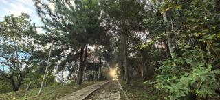 Casa Santa Rosilla - 4