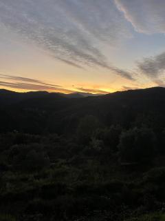 Le Cocon Verdoyant du Sud - 7