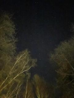 Cosy Wood - Waulsort - 6