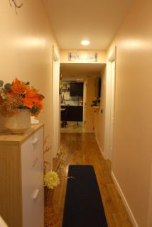 Entire suite Queen BRM Big Window Prvt Entry Patio - Edmonton - 7