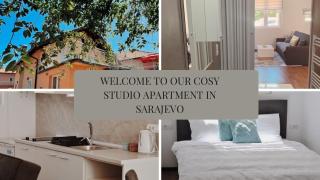 Comfort Apartment Ilidza - Sarajevo - 6