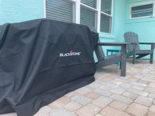 Muse by the Shore - Clearwater Beach - 6