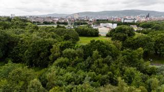 Raven Willow - Belfast - 6