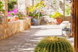 Holiday house with a parking space Lozisca, Brac - 15444 - 6