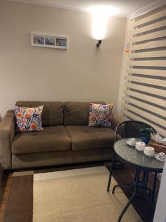 Acogedor Apartamento Valdiviano - 1