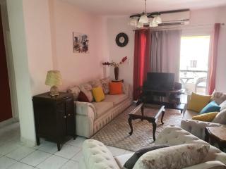 Al Rehab OGO Home 24hr- الرحاب شقة فندقيه - Il Cairo - 9