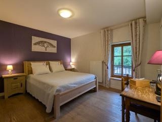Chambre Violette dans bâtisse du 18e siècle au calme - FR-1-589-710 - - 3