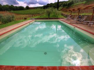 Farmhouse in Tuscany with Pool and Garden - Bucine - 9