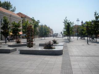 Apartments with WiFi Slavonski Brod, Slavonija - 24649 - Slavonski Brod - 1