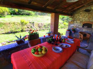 Striking Farmhouse in Ortignano - Castel Focognano - 6