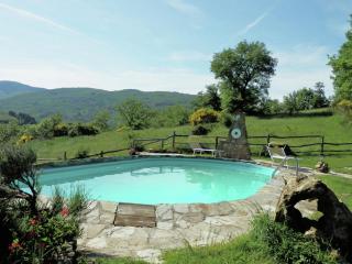 Striking Farmhouse in Ortignano - Castel Focognano - 2