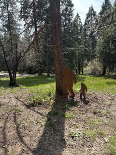Bigfoot Lodge Yosemite Bass Lake - Oakhurst - 5