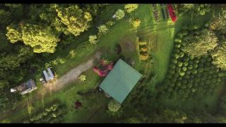 Eco Stay Studio - - 8